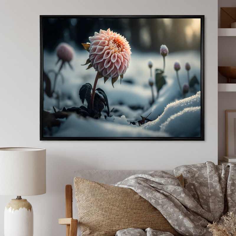 «A Blooming Pink Dahlia Flower in Winter I», impression sur toile, H 34 po x l 44 po x P 1,5 po
