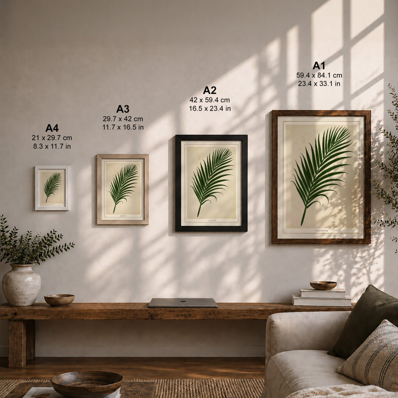 Single Palm Frond Botanical - Framed Print, A3 - 42.0 x 29.7 cm, Walnut