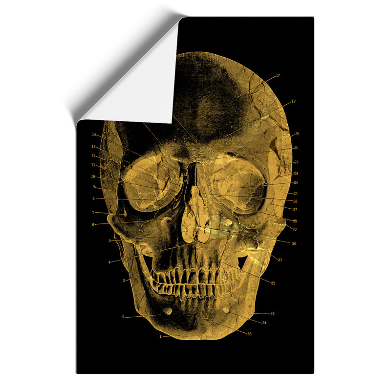Black Twilight Skull In Gold - No Frame Print, 84cm H x 59cm W x 0.1cm D
