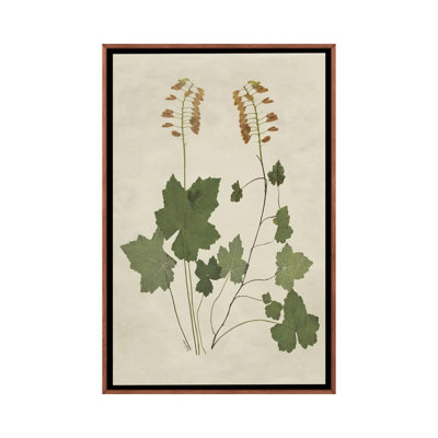 Botanical Leaves IV