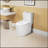 Advanced 1.1/1.6 GPF Elongated Comfort Height Floor Mounted One-Piece Toilet, CUPC Certified, Watersense Cetified, Ceramic, Soft Close Seat-112377972