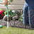 Scrollwork Wrought Iron Edging with Ground Stakes and Gunmetal Finish