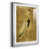 Argent