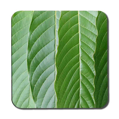 Derlyum Square 6 Piece Coaster Set