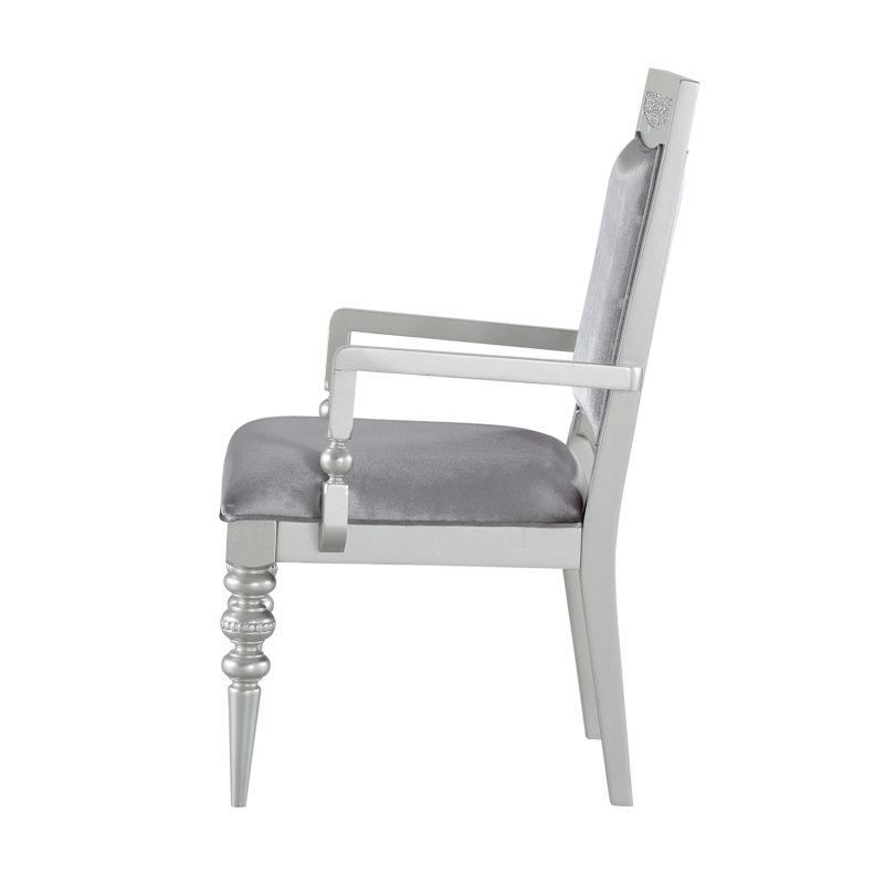 2 chaises grises et platine - Matériau des luxueuses chaises avec accoudoirs (paire)