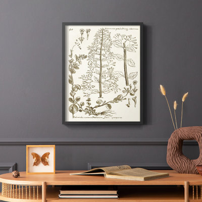 Sepia Botanical Journal V Framed Print - Solid Wood