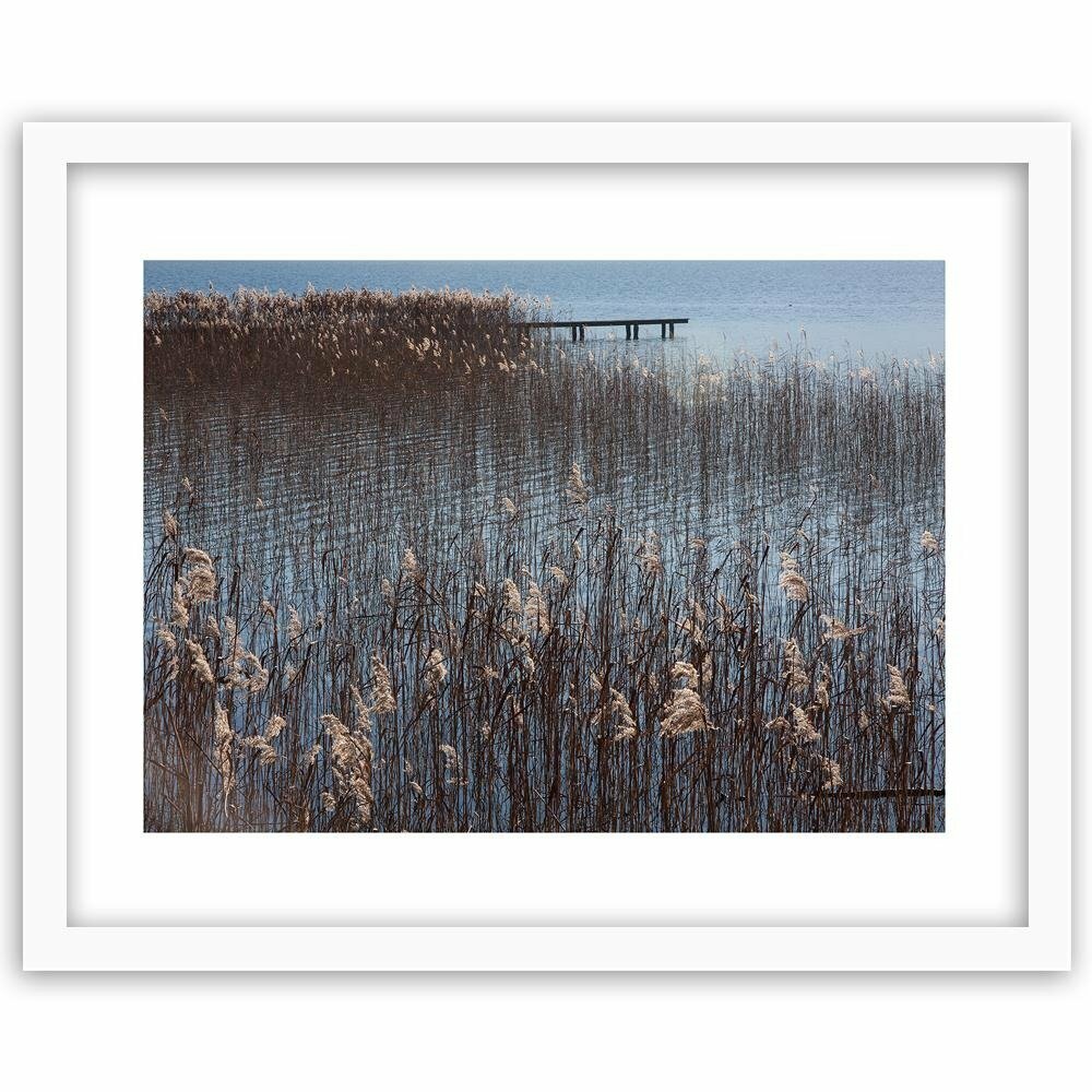 Gerahmter Fotodruck Schilfrohr am Meer