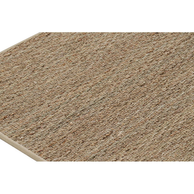 Area Rug in Brown