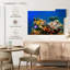 Aletra, poisson tropical et récif de corail-107847912