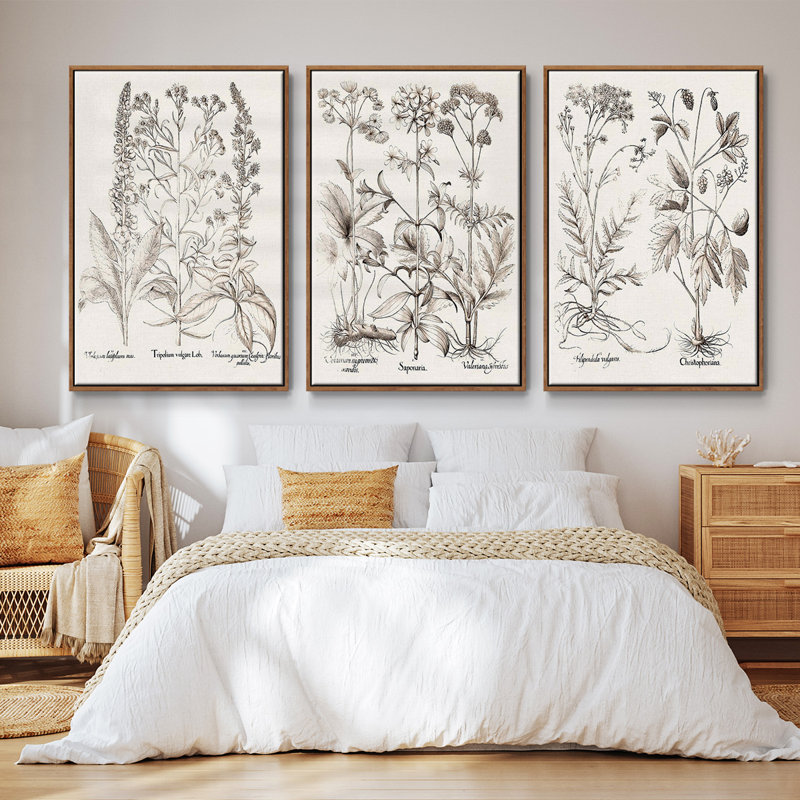 Ensemble de 3 pièces encadrées sur toile sépia Besler Botanicals, H 36 po x l 72 po, Noyer