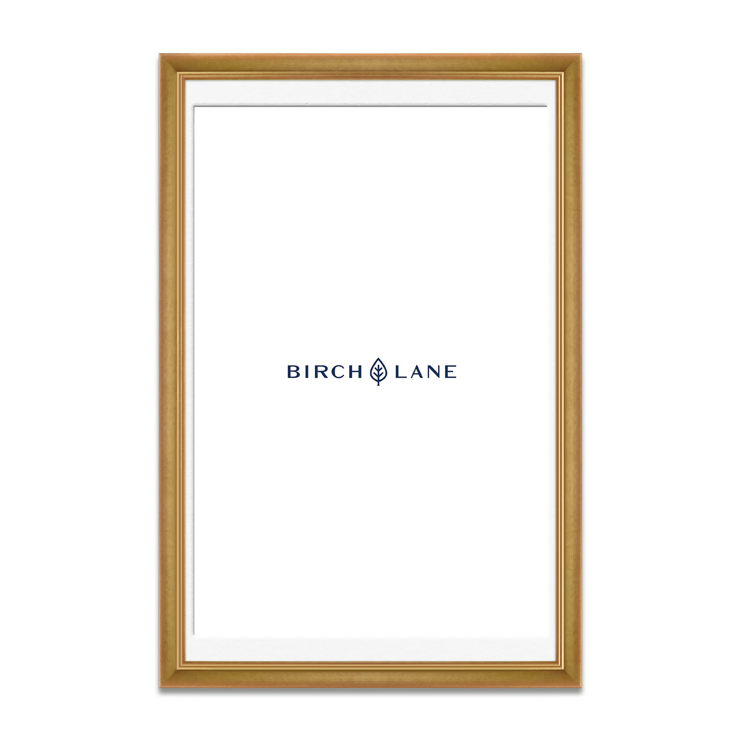 Wood Picture Frame with Mat, Gold, 20" x 30"