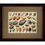 Shell Diagram II Print