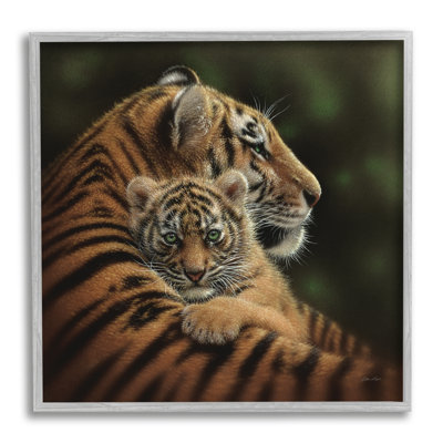Adorable «Sweet Mom Tiger» tenant un bébé en peluche par Collin Bogle - photographie
