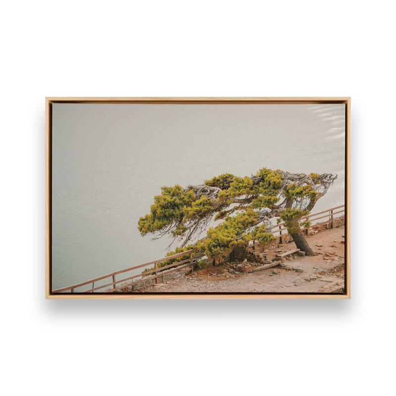 Impression sur toile Windswept Beauty, Érable américain encadré, H 12,75 po x l 18,75 po x P 1,75 po