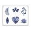 Ensemble de feuilles de plantes - reproduction sur toile avec cadre flottant-59638460-59638466