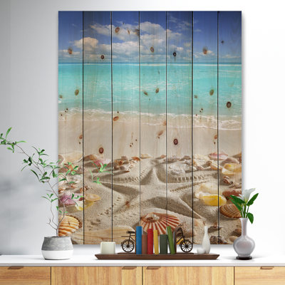 " Caribbean Sea Starfish "