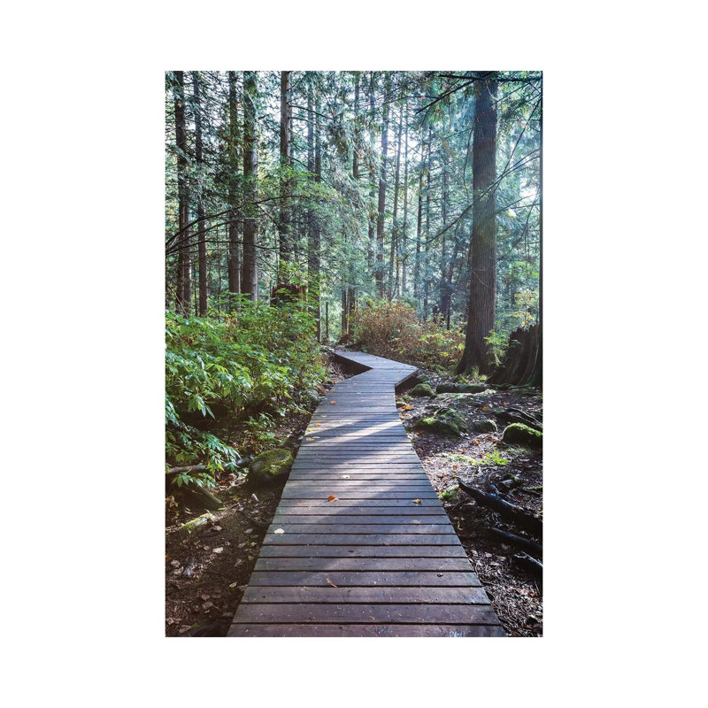 Into The Forest Ii by Matteo Colombo - Wrapped Canvas Print, 20.32 cm H x 30.48 cm W