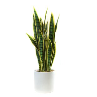 33'' Faux Snake Plant Plant in Stone Planter