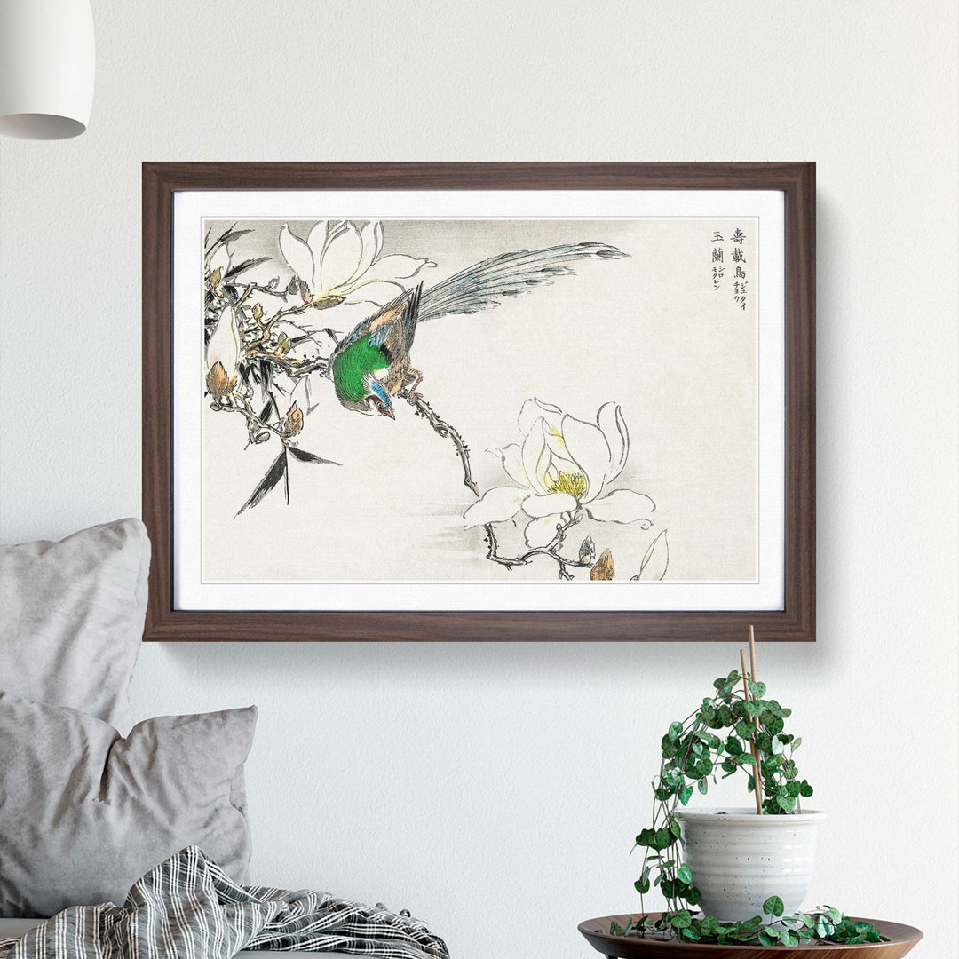 Pipit Bird and White Magnolias by Numata Kashu - Framed Print