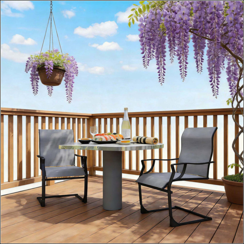 Ensemble de 2 chaises de patio pour l'extérieur