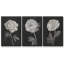 Fleurs noires et blanches I 3 pièces-97758190-97758184