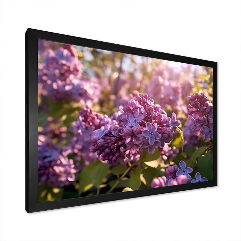 «Lilac mauve», impression sur toile, H 16 po x l 32 po x P 1 po, Cadre photo noir