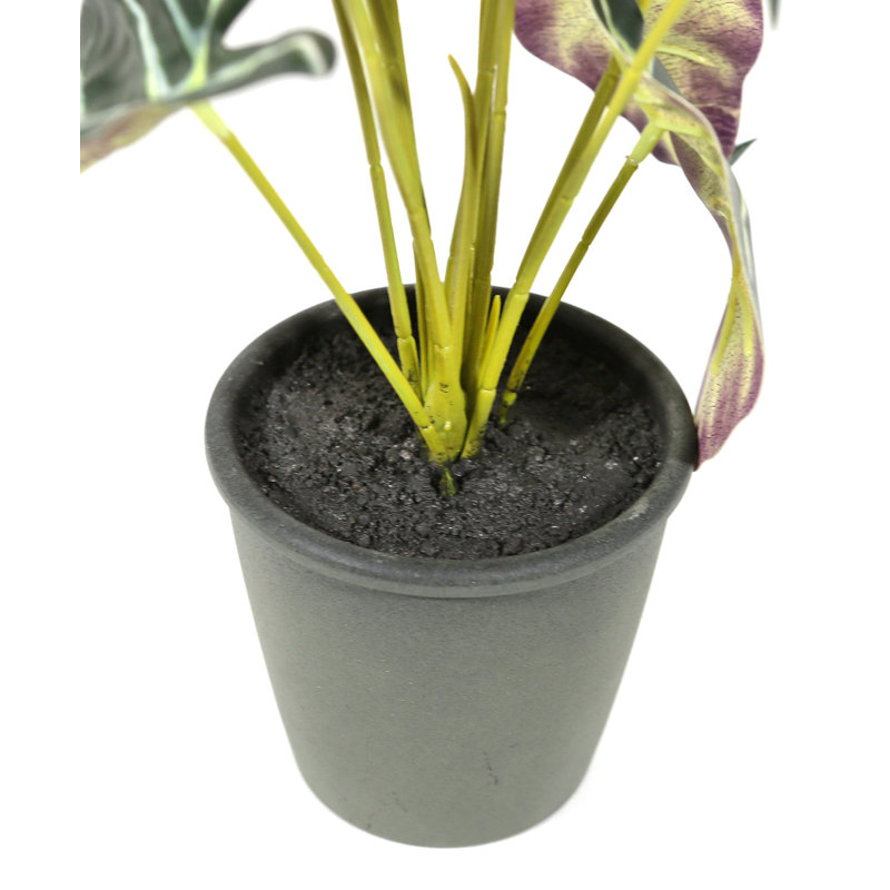 Plante artificielle en pot 20 po Alocasia