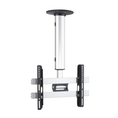 Symple Stuff Single Screen Ceiling Mount
