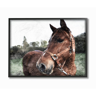 «Horse Posing in Field» par Milli Villa - reproduction de photo à cadre flottant