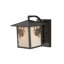 Rustic Lodge 1 - Light Armed Sconce