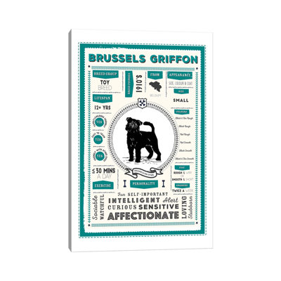 " Brussels Griffon Infographic Blue " by PaperPaintPixels