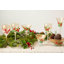 Verre martini 7 oz pin Mistletoe