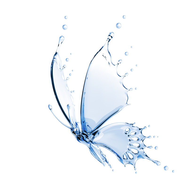 Water Butterfly by BlackJack3D - No Frame Print on Canvas, 51cm H x 51cm W