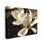 "Plant Petals In Nature", art mural sur toile par Noah Bay