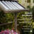 Raised Garden Bed
