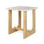 Portico Square End Table-1549872929