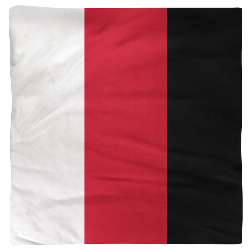 Serviette pour dîner de hockey Washington, Blanc / rouge / noir, 22 po x 22 po, Polyester