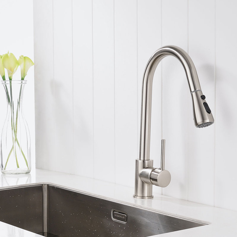 FLG Pull Out Kitchen Faucet