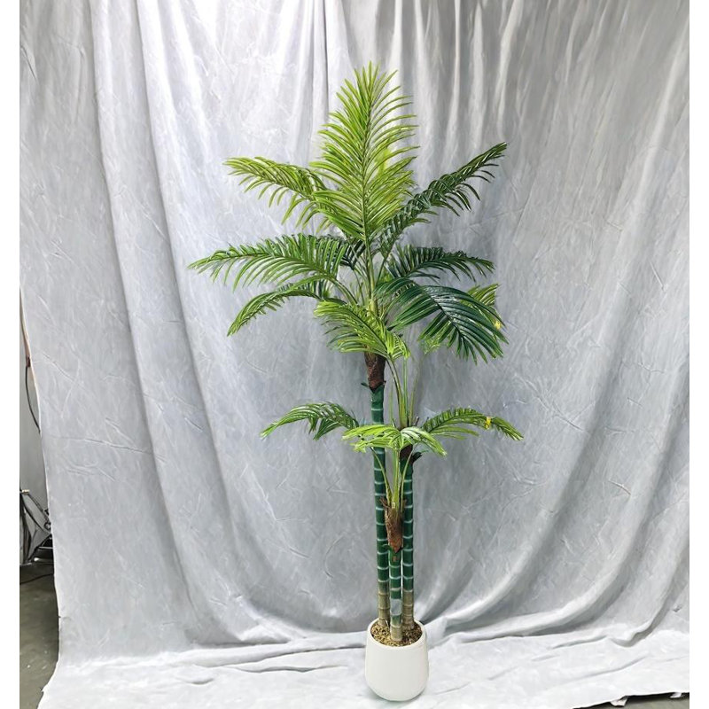 Multiple Palm Trees Used For Home Decoration, 70.87" H x 23.62" W x 23.62" D
