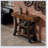 Sofa Table,Stable Console Table,Entryway Table