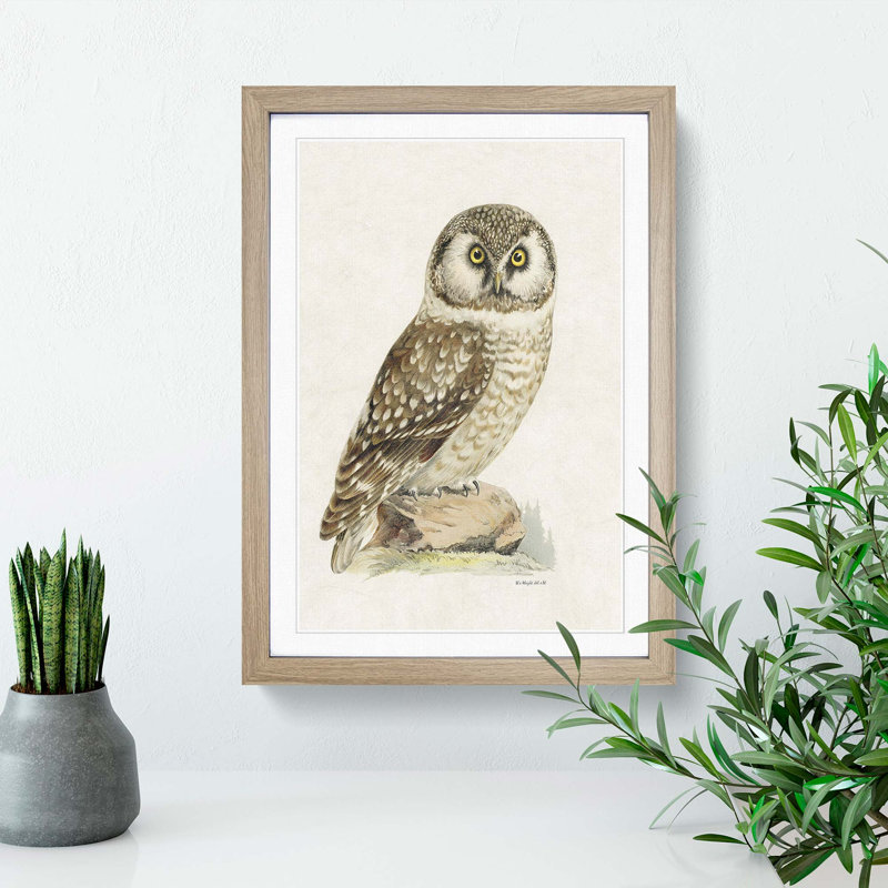 Boreal Owl by Von Wright - Picture Frame Painting Print on MDF, 65cm H x 48cm W x 2cm D, Oak Framed