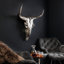 Rodeo Wall Décor