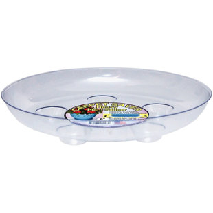 Saucer Plant Stand