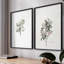 Impression florale rétro vintage XXII - ensemble de 2 estampes-715148016-715148017