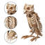  1 paire de vautour et 1 pièce de décoration d'Halloween squelette hibou