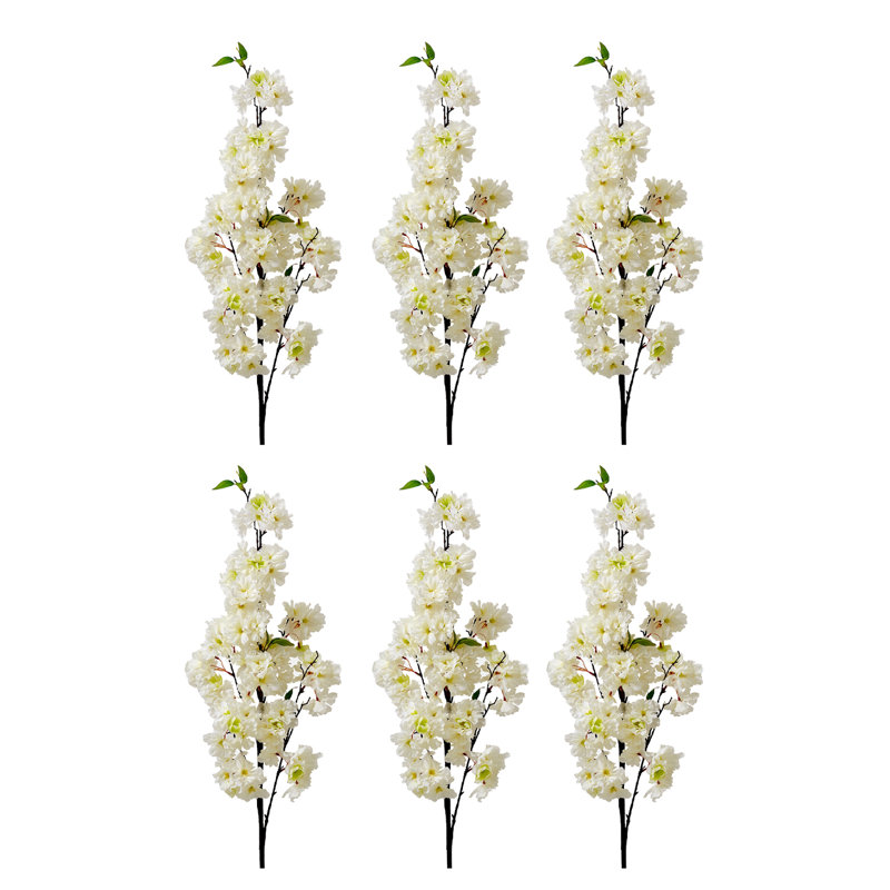 Arrangement de fleurs de cerisier, Blanc