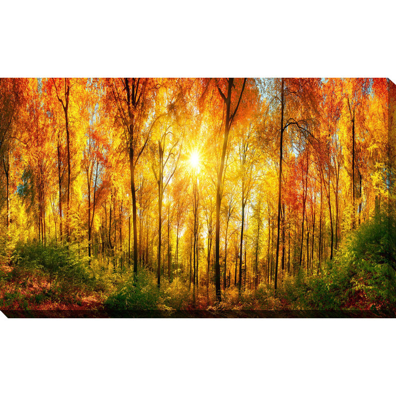 « golden forest », reproduction de photo sur toile tendue, H 18 po x l 30 po x P 1 po