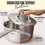 Casserole en acier inoxydable de 1,7 pinte Alva Maestro
