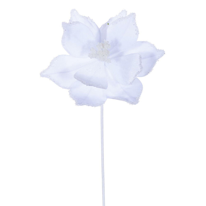Tiges de poinsettias Cochrane, Blanc