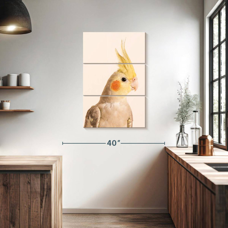 Brampt Smiling Cockatiel, 38" H x 24" W